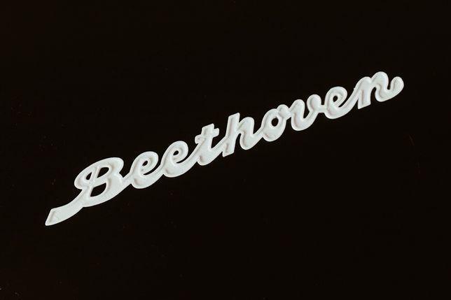 STERN-RADIO ROCHLITZ BEETHOVEN - LOGO / EMBLEMAT