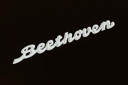 STERN-RADIO ROCHLITZ BEETHOVEN - LOGO / EMBLEMAT