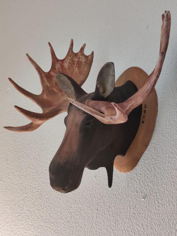 Moose wallmount (4 parts)