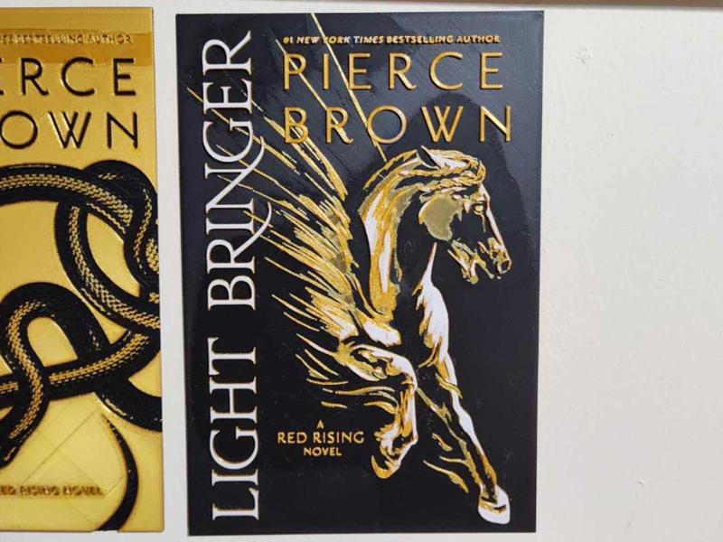 Light Bringer Book Cover