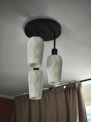 Ceiling light cover, spiral vase