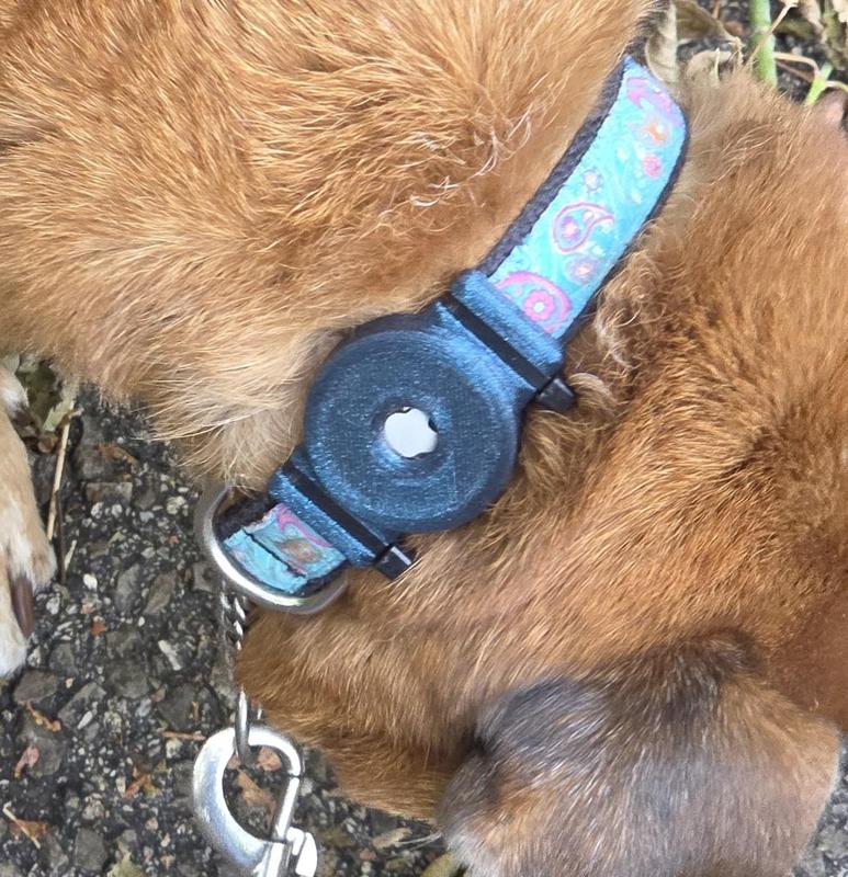 Dog Collar AirTag Holder