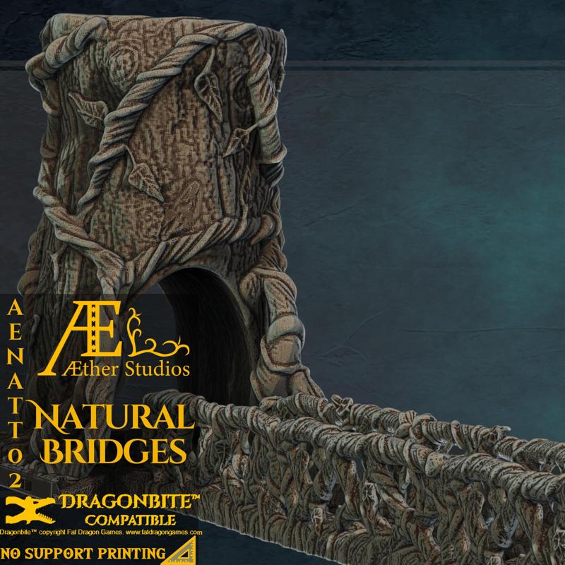 AENATT02 - Natural Bridges