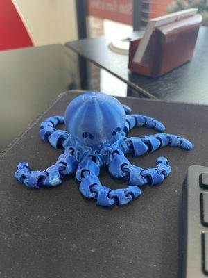 Octopus print