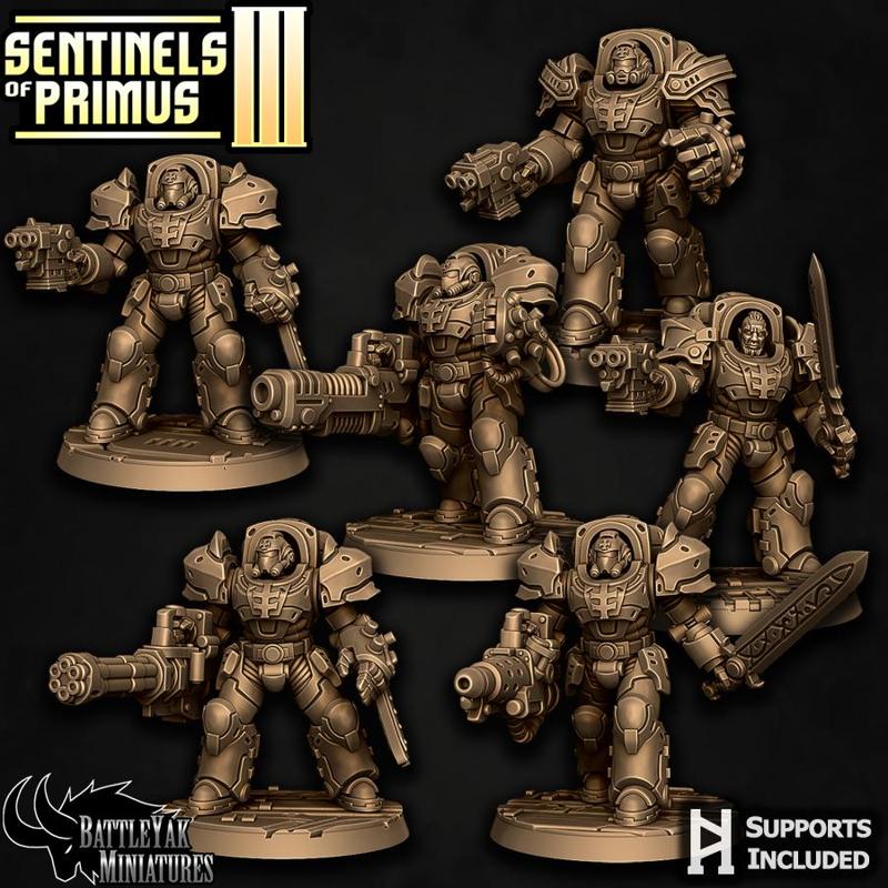 Sentinel-Paladin Ranged Combat Pack