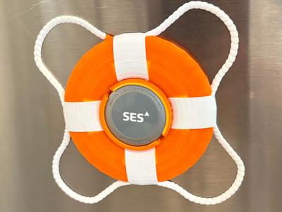Princess Medallion Life Preserver Holder