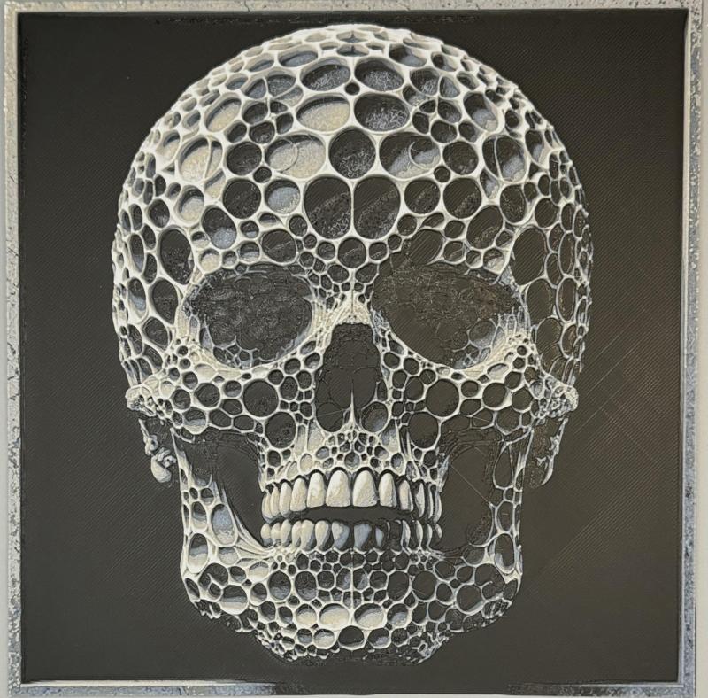 Skull Voronoi Painting