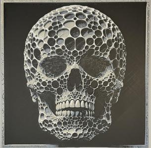Skull Voronoi Painting