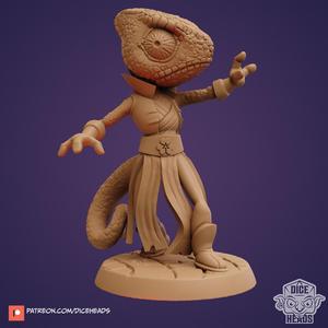 Chameleon Sorcerer (pre-supported included)