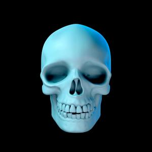 Basic Skull
