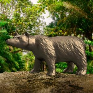 bear