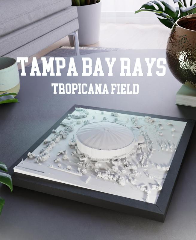 Tampa Bay Rays - Tropicana Field