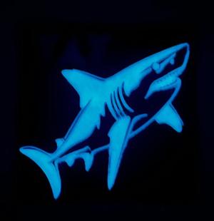 Shark and teeth ornament