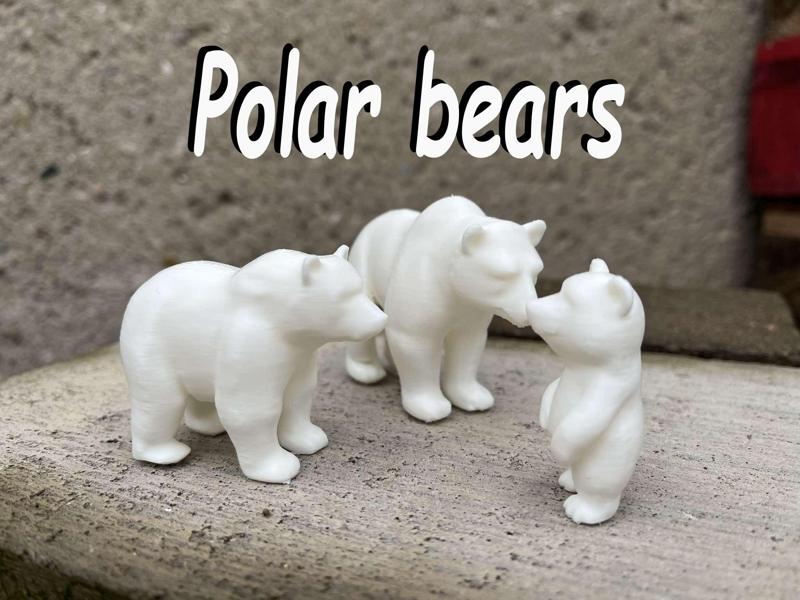 Polar bears family