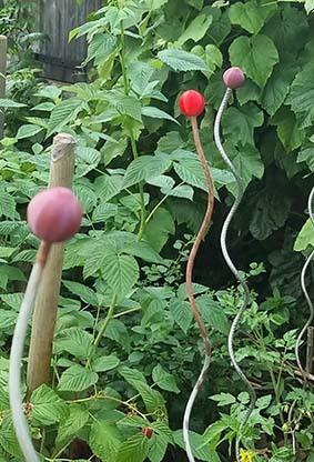 tomato stake eye protection tip