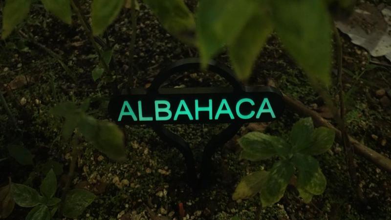 Glow Pins (Spanish Edition)