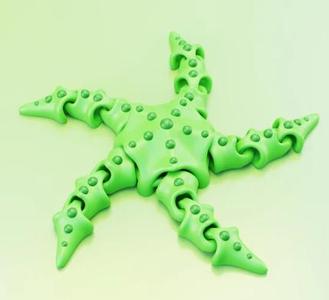Cute Flexi Starfish