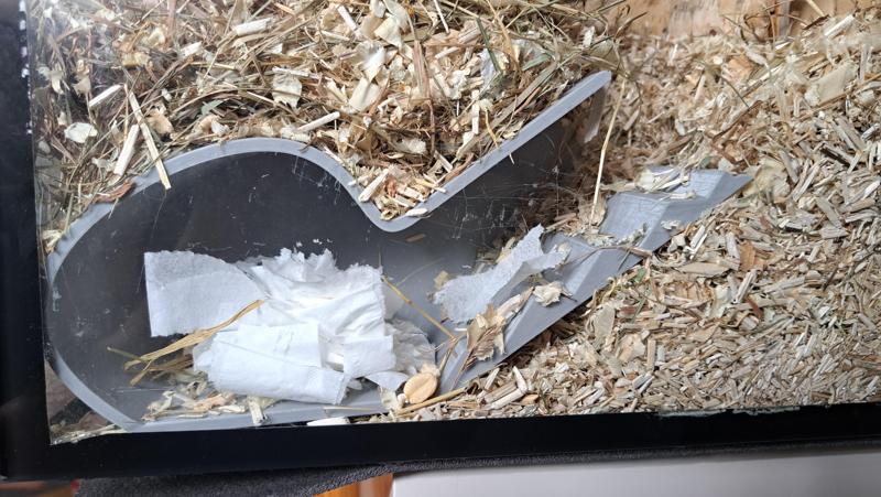 Hamster watchbox (fit on printer 225x225)