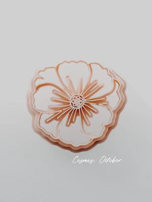 October - Cosmos