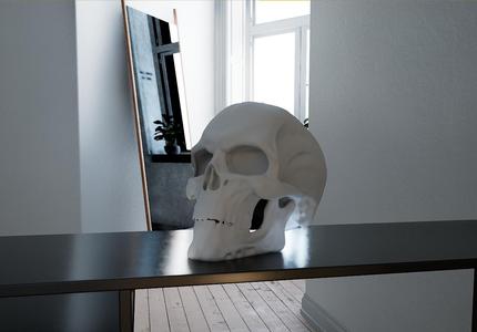 Bio Mechanical Skull