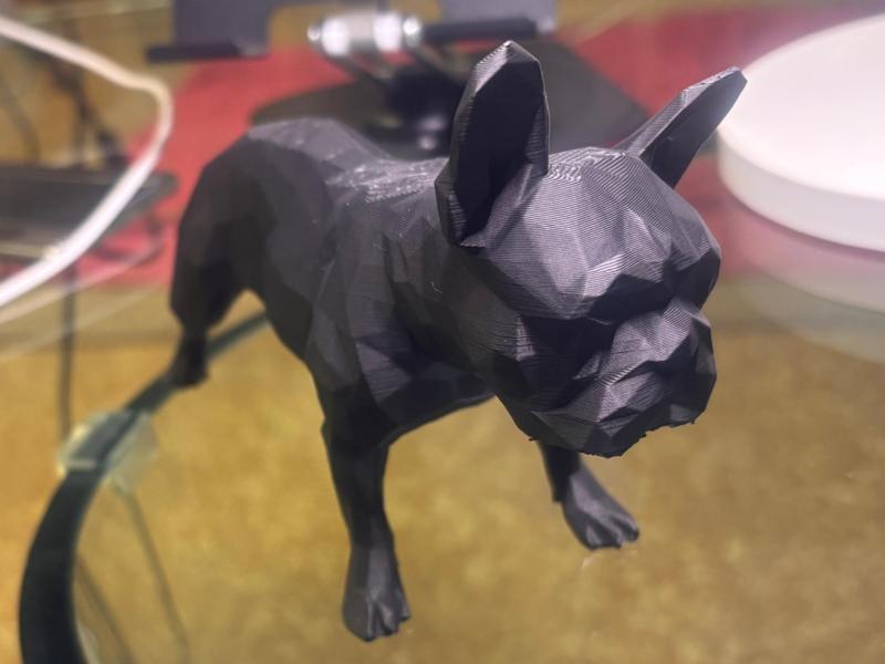 Dog bulldog francese low poly