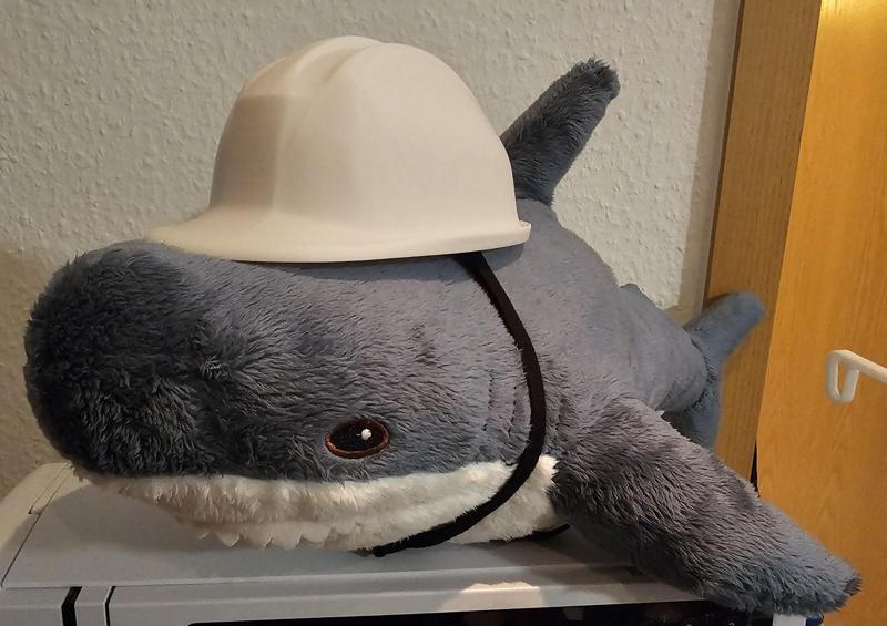 Smålhaj Safety Helmet