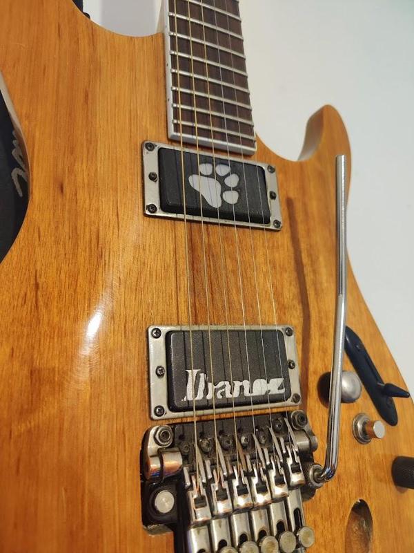 Customisable humbucker cover