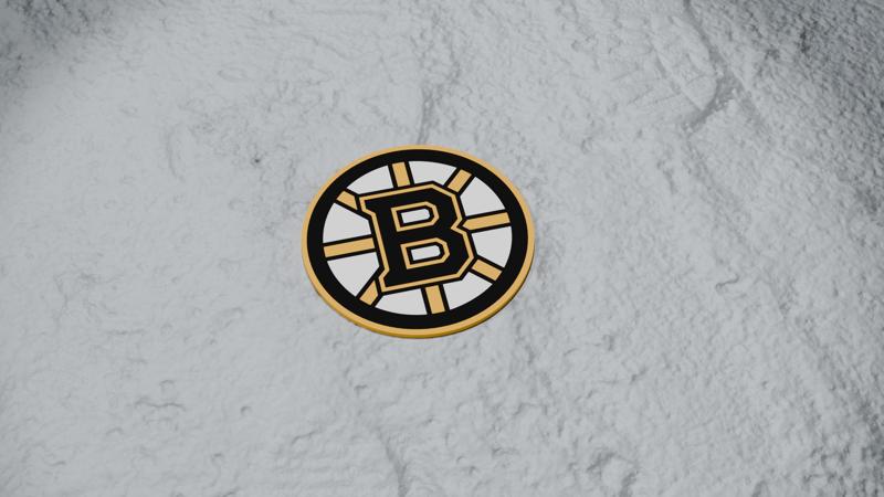 Boston Bruins Coaster