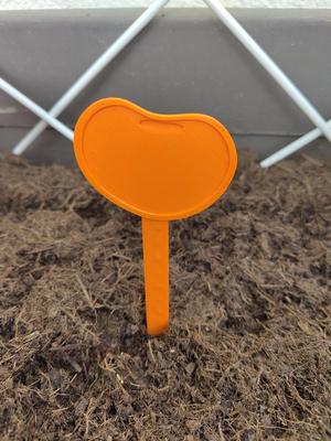 Bean plant marker/ plant label stick - INCREASE project