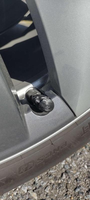 The Rock Tire Valve Stem Cap