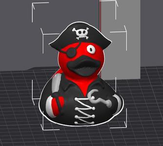 pirate duck ams
