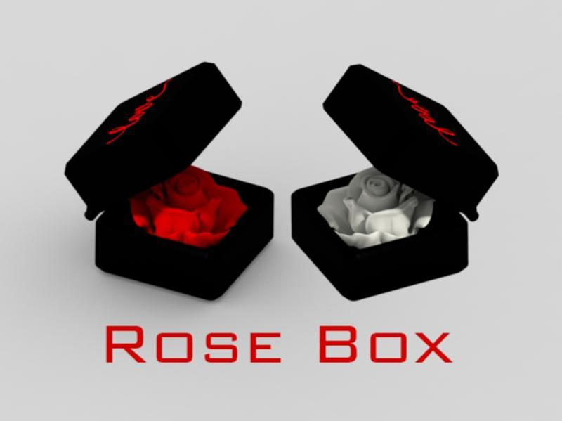 Romantic Rose Box with Hinge - Valentines Day