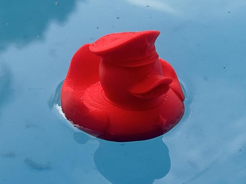 Floating Police Duck