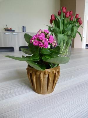 FLOWER POT