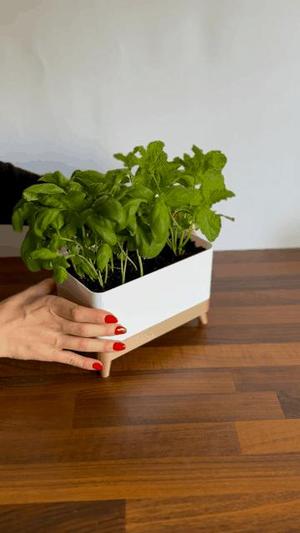 TRUHLIK Herb Planter