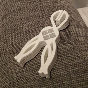clothes pin