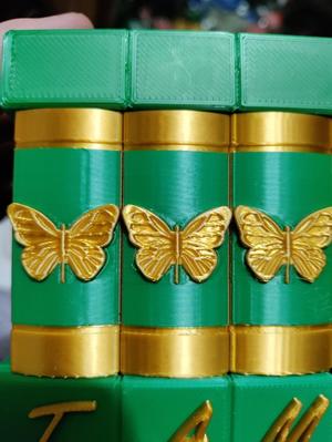 Secret Butterfly Box 2-Colored Front and Top