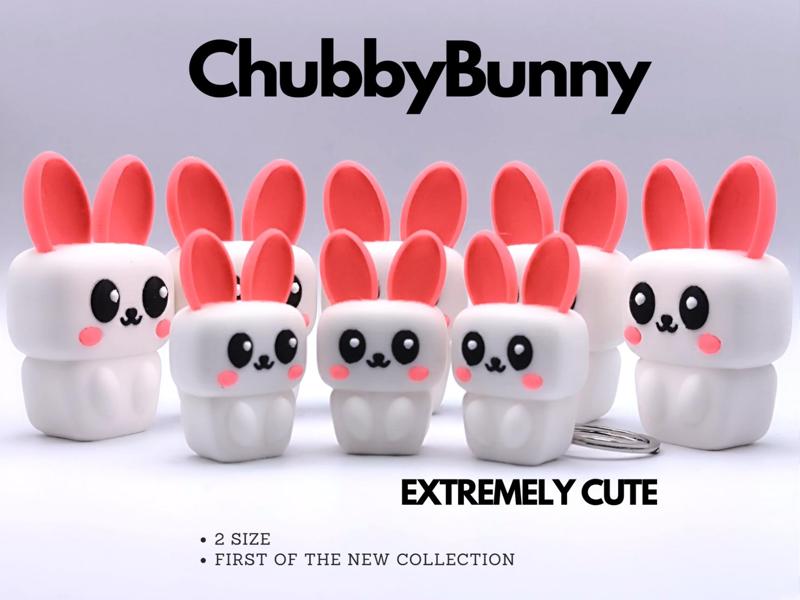 ChubbyBunny - A Cute Chubby Square Bunny