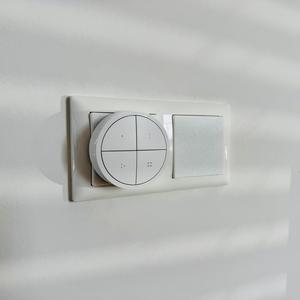 Busch Jaeger Balance SI switch block + Hue Tab dial (mini) & Smart Knob holder