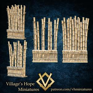 bamboo patch / pathway