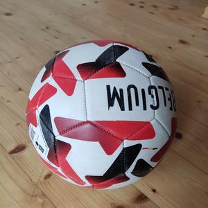 3d scan of a football
