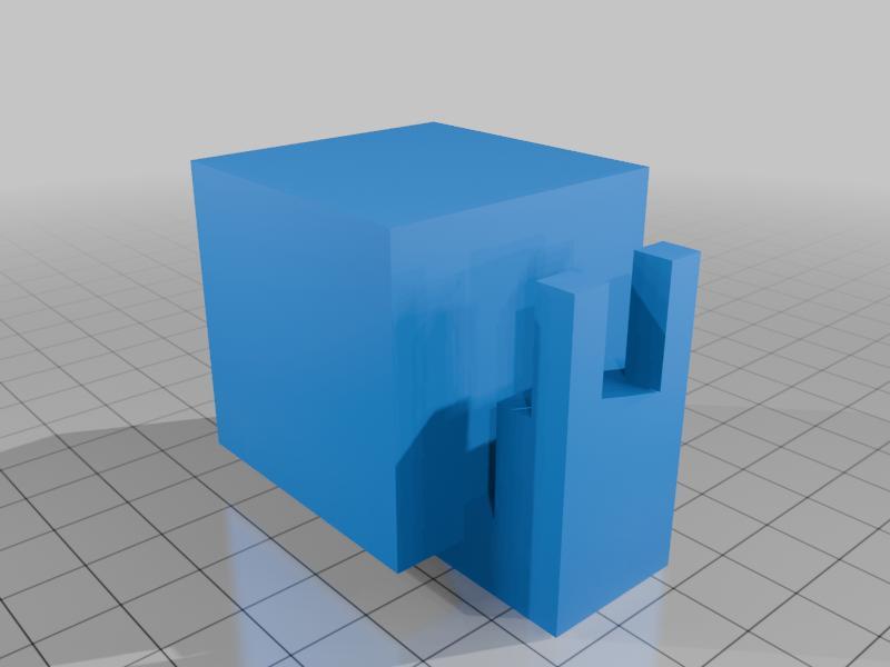 Snail from Wildlife Session 3