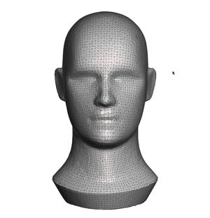 Human head