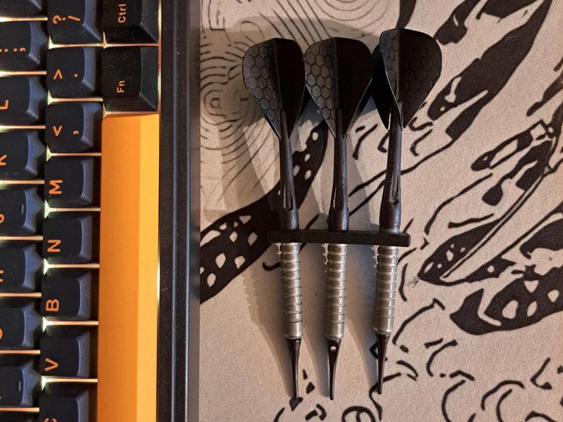 Dart Holder