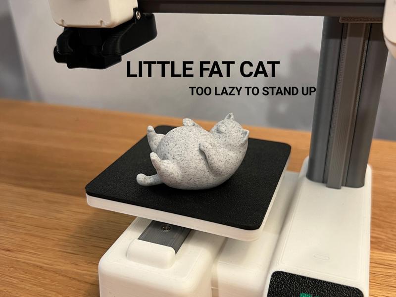 Little Fat Cat