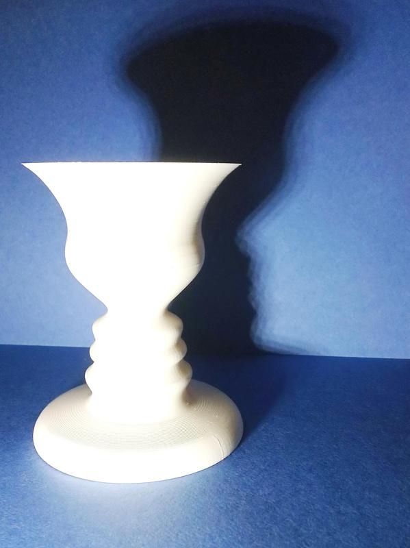 Vase illusion (Edgar Rubin)