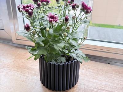 Flower Pot