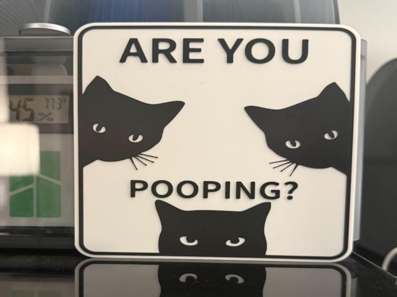 ARE YOU POOPING? FUNNY CAT SIGN 