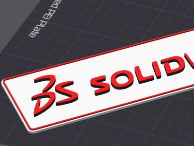 SolidWorks Logo - raised lettering