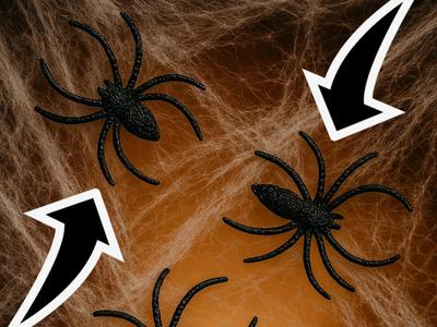 Halloween spider